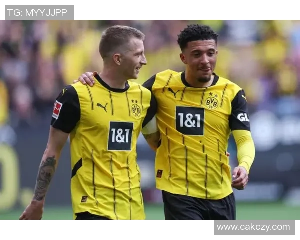 被杀害的足球球星:揭示他们悲剧性命运背后的真相与未解之谜